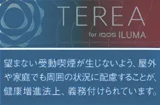 TEREA 红宝石/梅子原味 Ruby Regular E