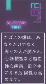 JBR Blueberry Mint 30g装